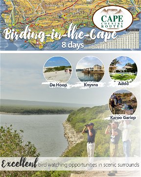 Birding-the-Cape 8-Day Tour Package