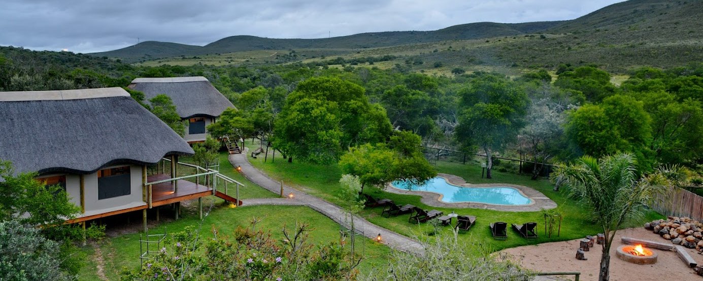 Reignite the thrill of a South African Safari