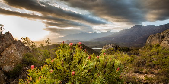 Amazing Karoo Beauty - 4-nights - from R10,950 pp