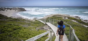 Wines & Whales - 4-nights - from R12,090 pp