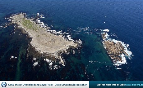 dyer island and Geyser rock 