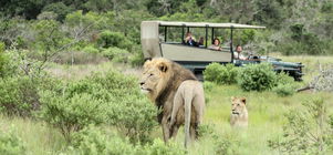 Bush and Beach - 3 nights - from R10,990 pp