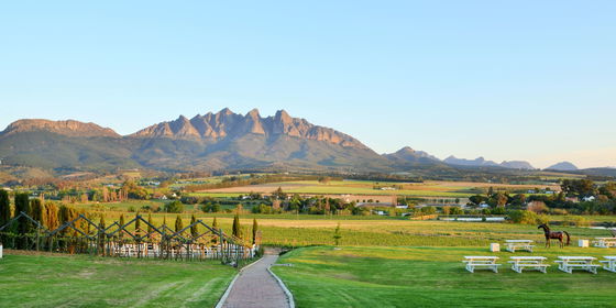 Cape Winelands Experience - 4 nights - from R6,150 pp