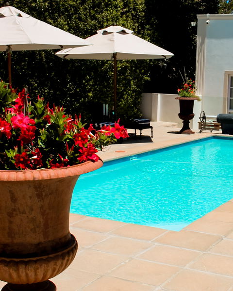 Garden and Pool