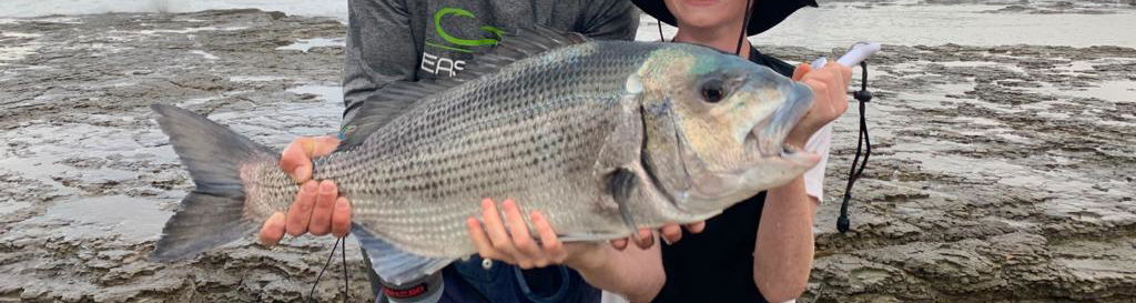 Guided fishing. Rock and Surf. Angling Tours. Kei Mouth. Morgan Bay. Double Mouth Nature Reserve. East London. Buffalo City. Wild Coast. Eastern Cape. South Africa. White Musselcracker. Silver Steenbras.