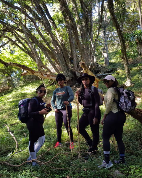 WILD COAST FOREST WALKS