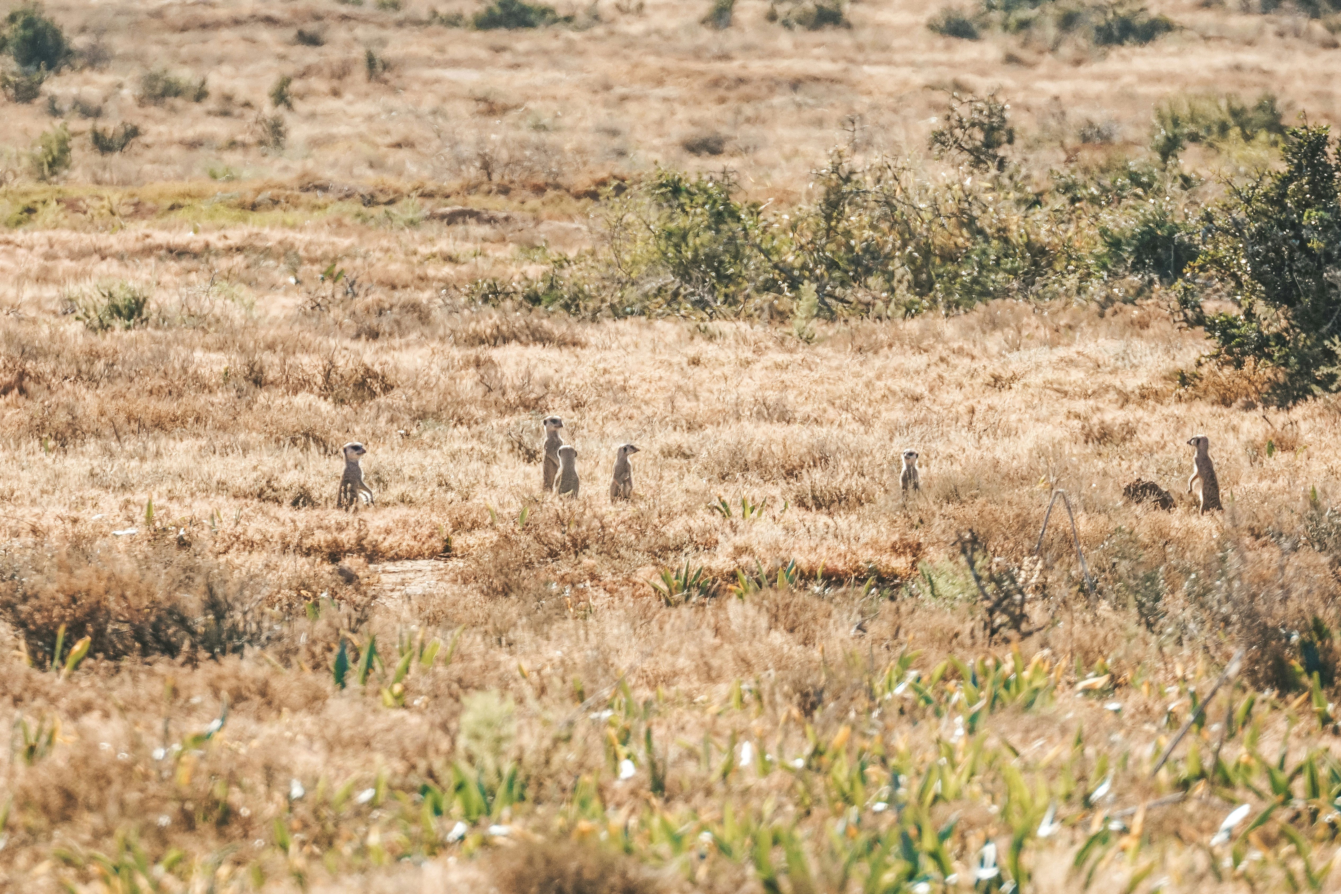 Addo Micro Adventure