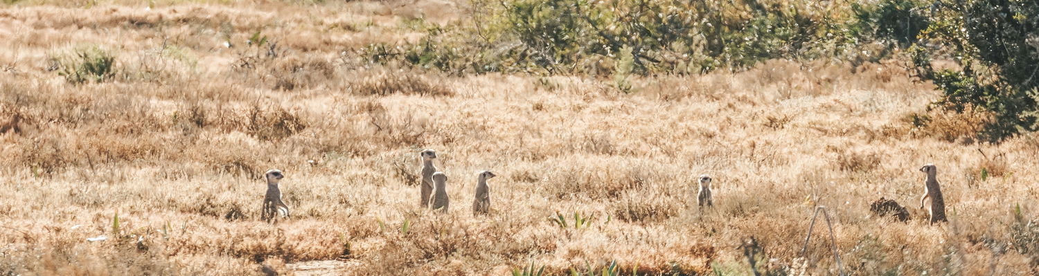 Addo Micro Adventure