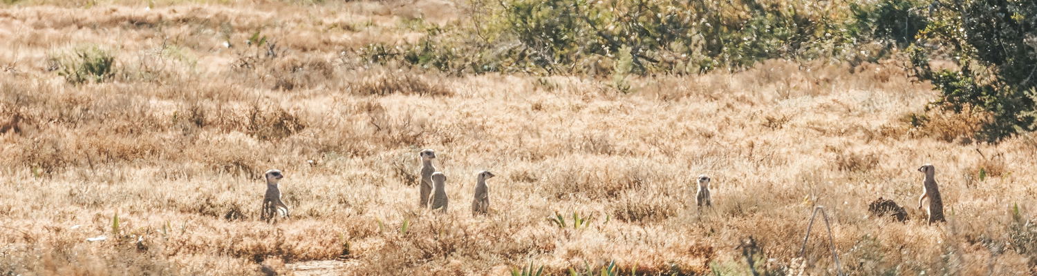 Addo Micro Adventure