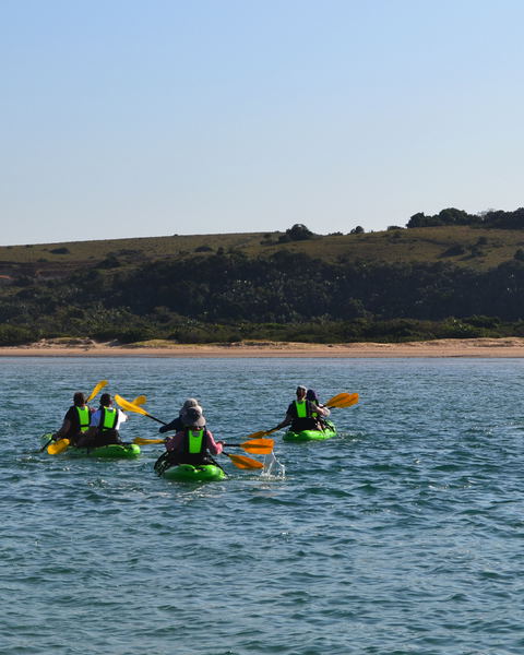 GUIDED KAYAK ADVENTURES