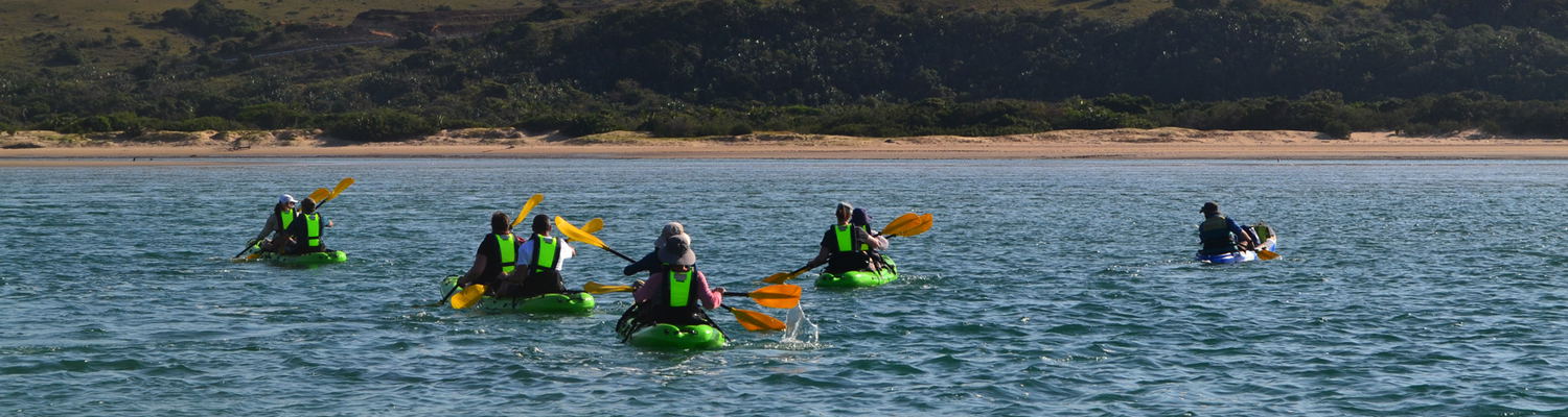 Kayak Adventures