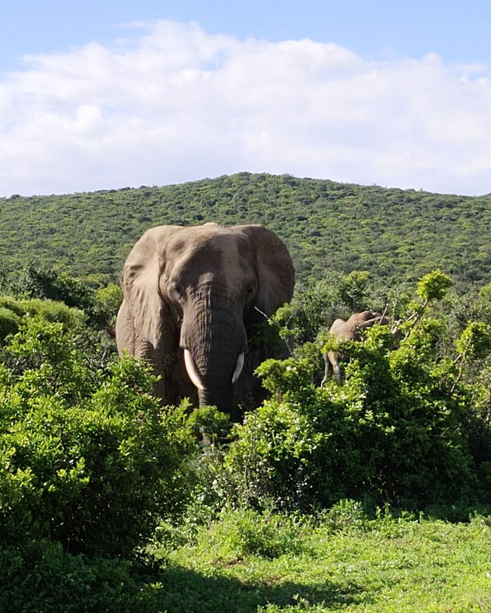 Addo Micro Adventure / Opt. 2