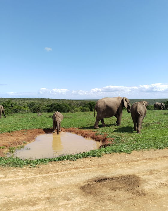 Addo Micro Adventure / Opt. 1