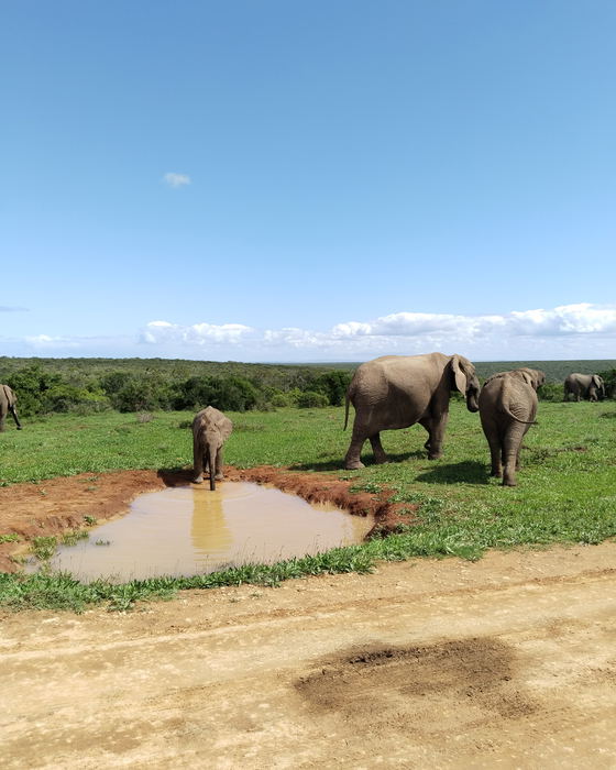Addo Micro Adventure / Opt. 1