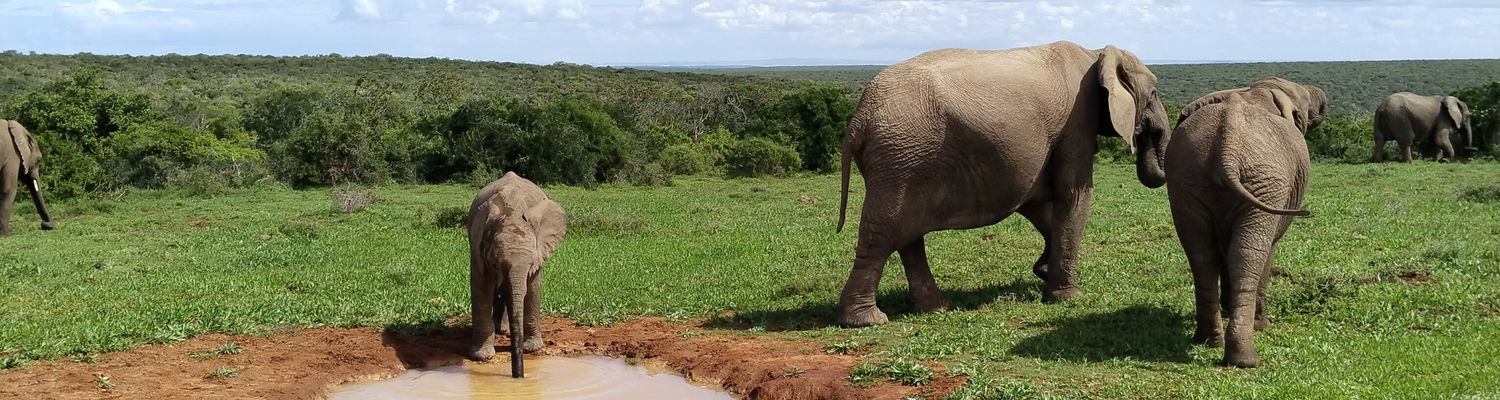 Addo Micro Adventure