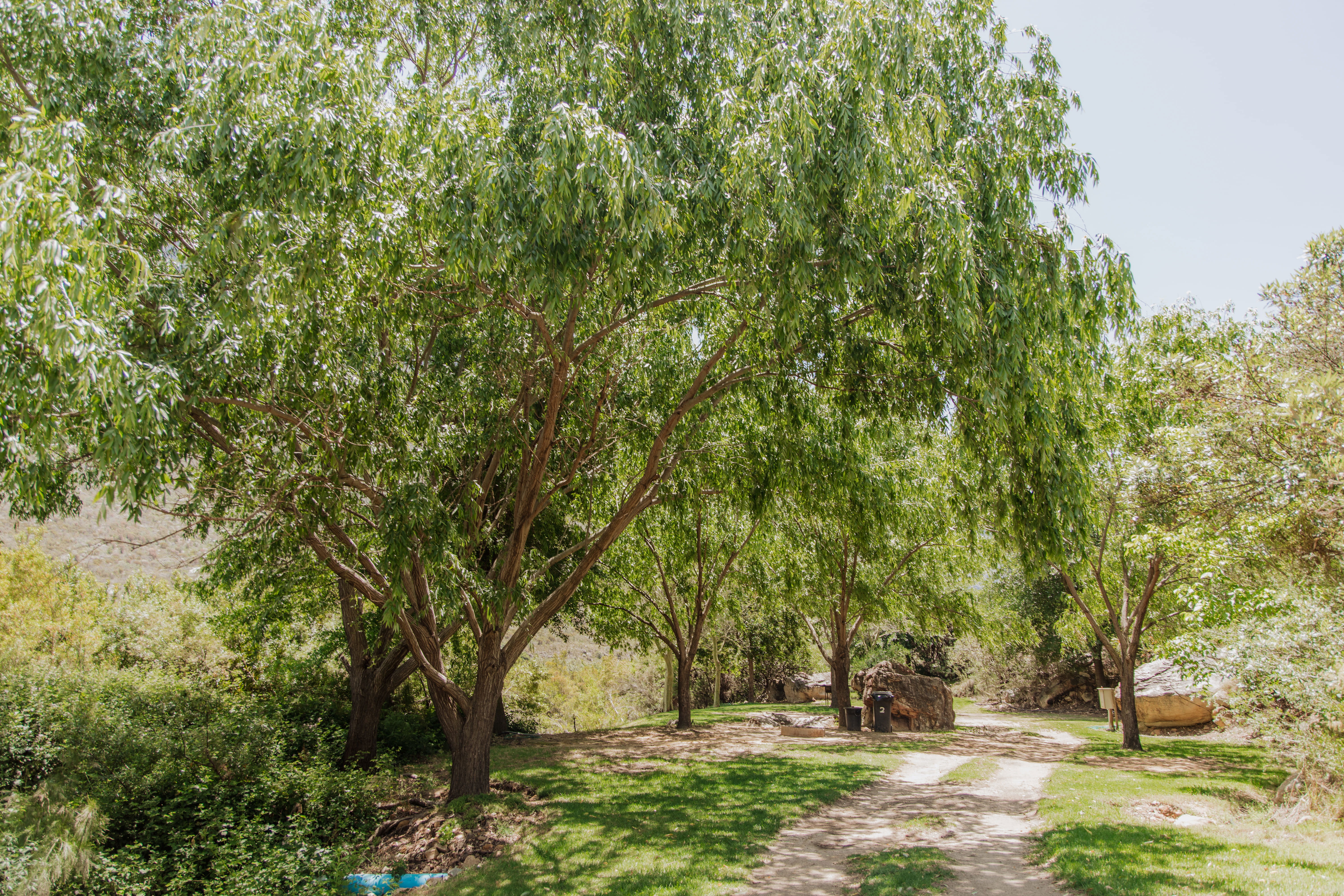 Campsite 2