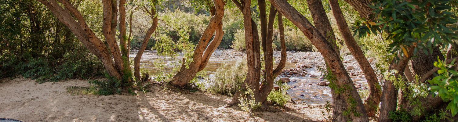 Campsite 4
