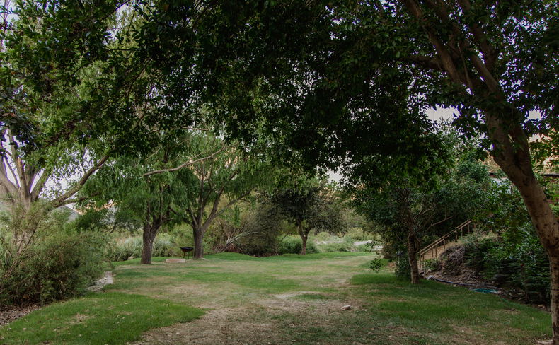 Campsite 6 Campsite 6