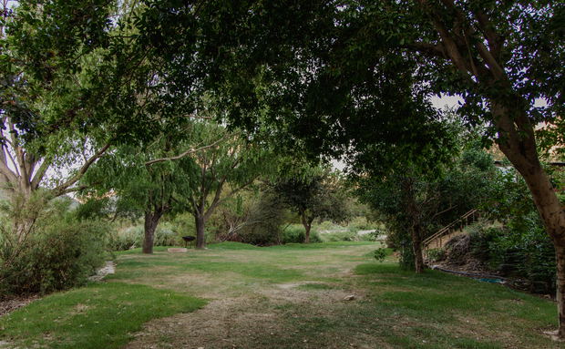 Campsite 6 Campsite 6