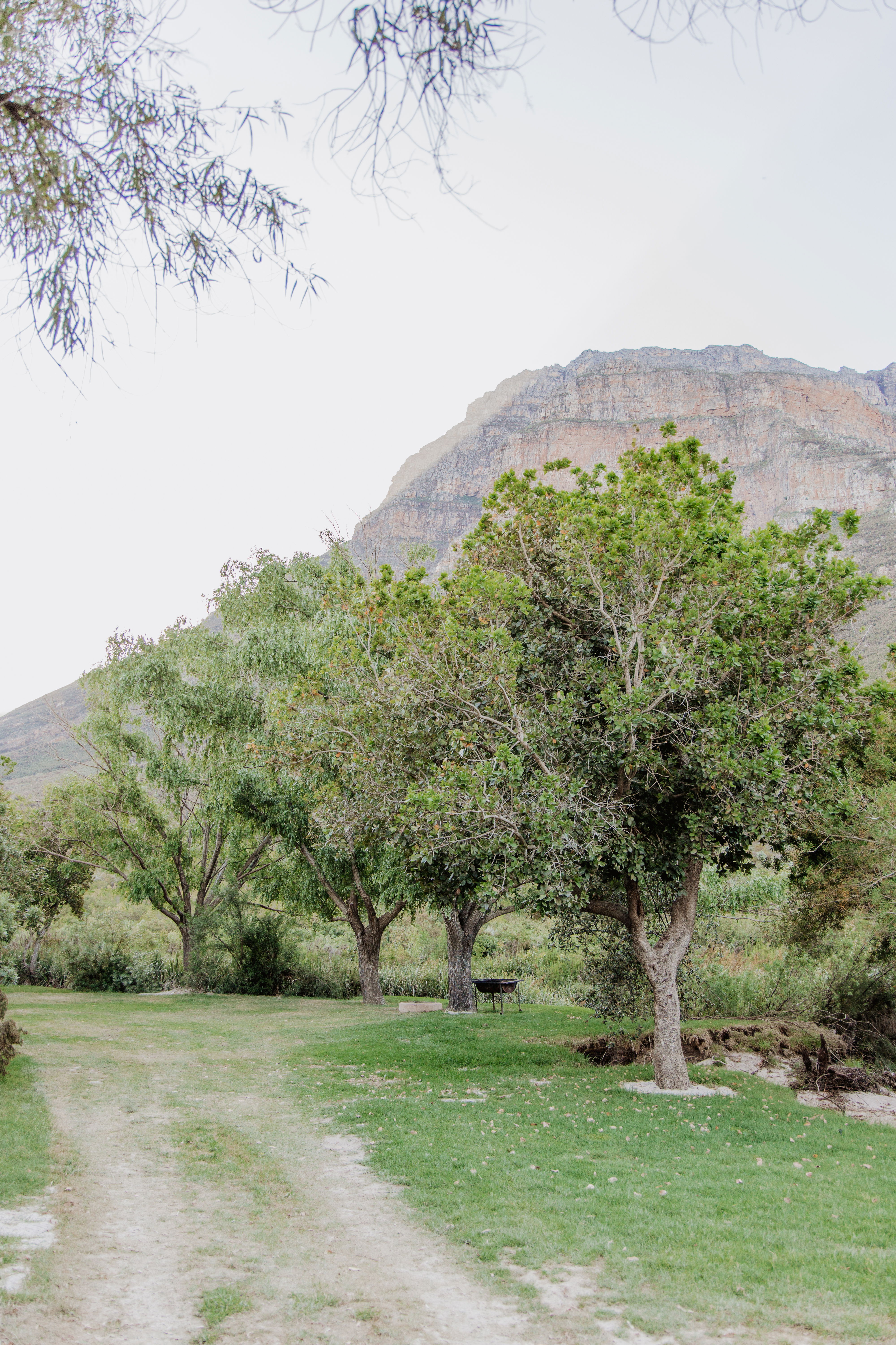 Campsite 6