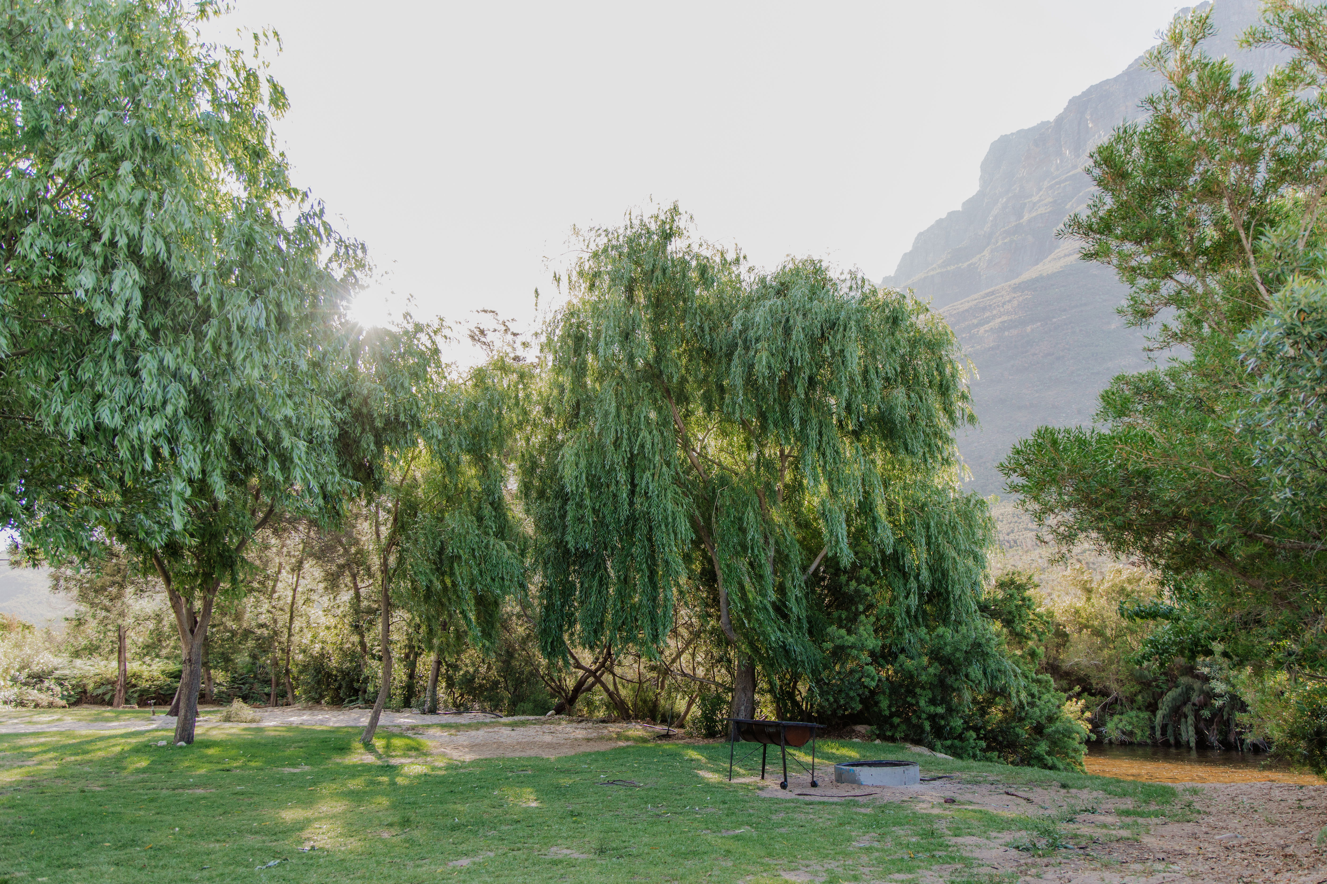 Campsite 8