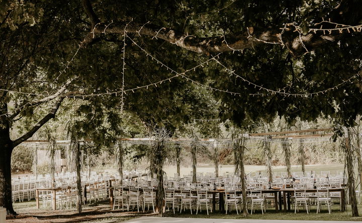 Weddings