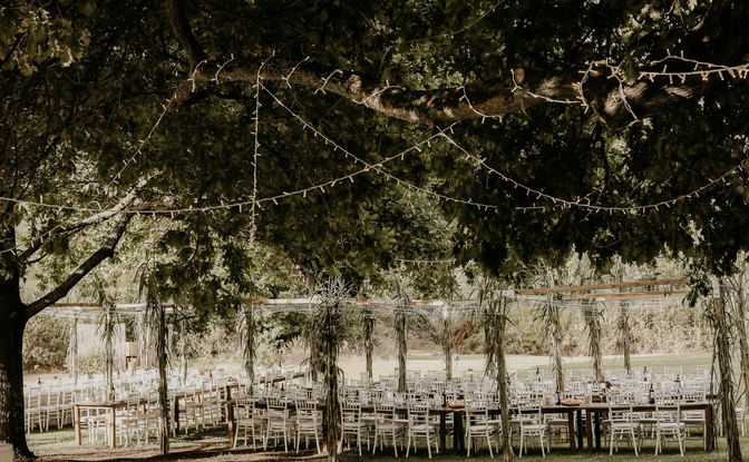 Weddings