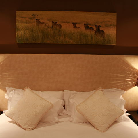Mafunyane Room