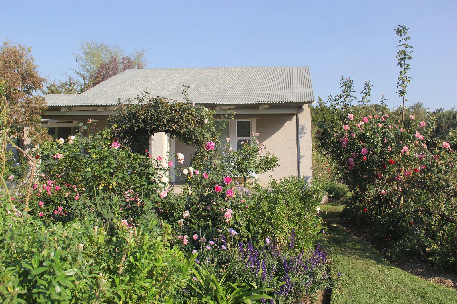 Welcome to Bella Rosa Farm