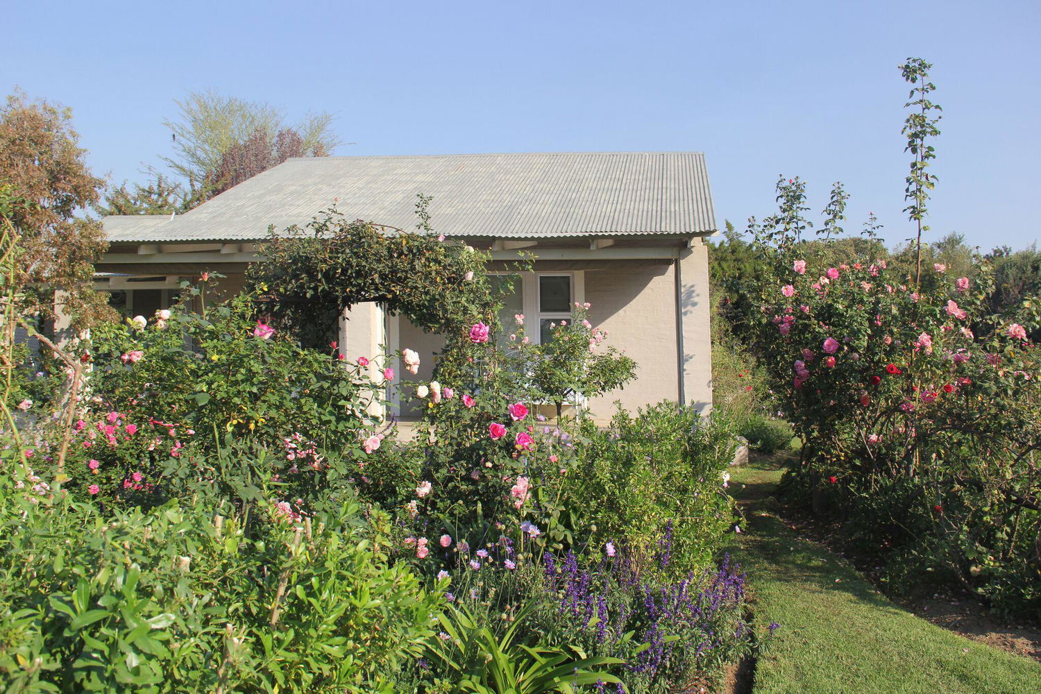Welcome to Bella Rosa Farm
