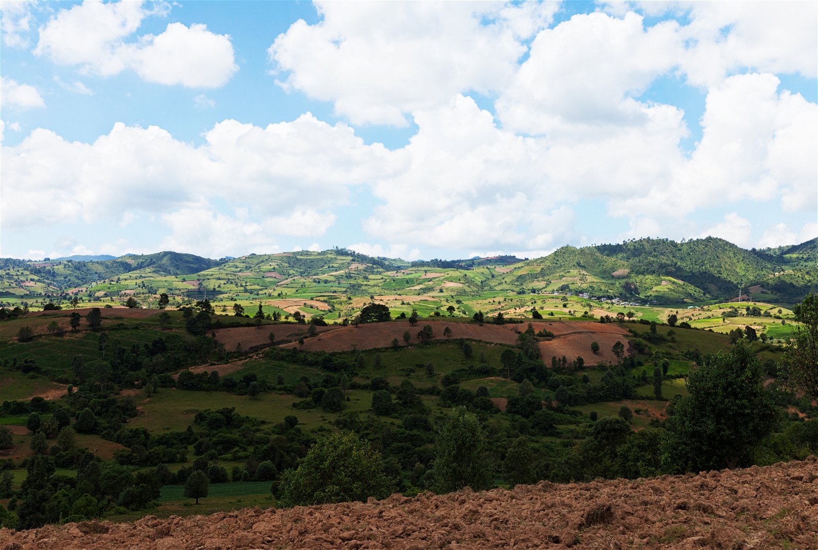 Kalaw Photo