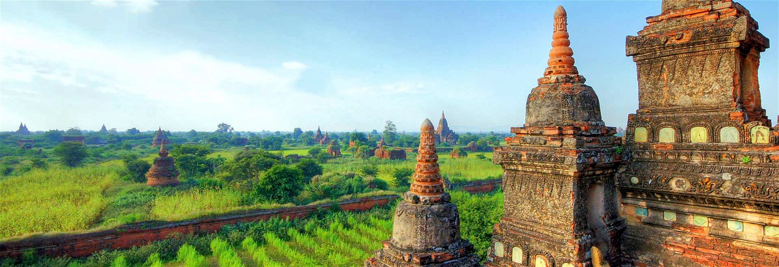 Bagan Agricultre