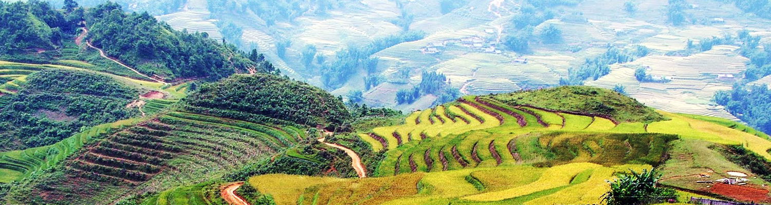Kyaing Tong
