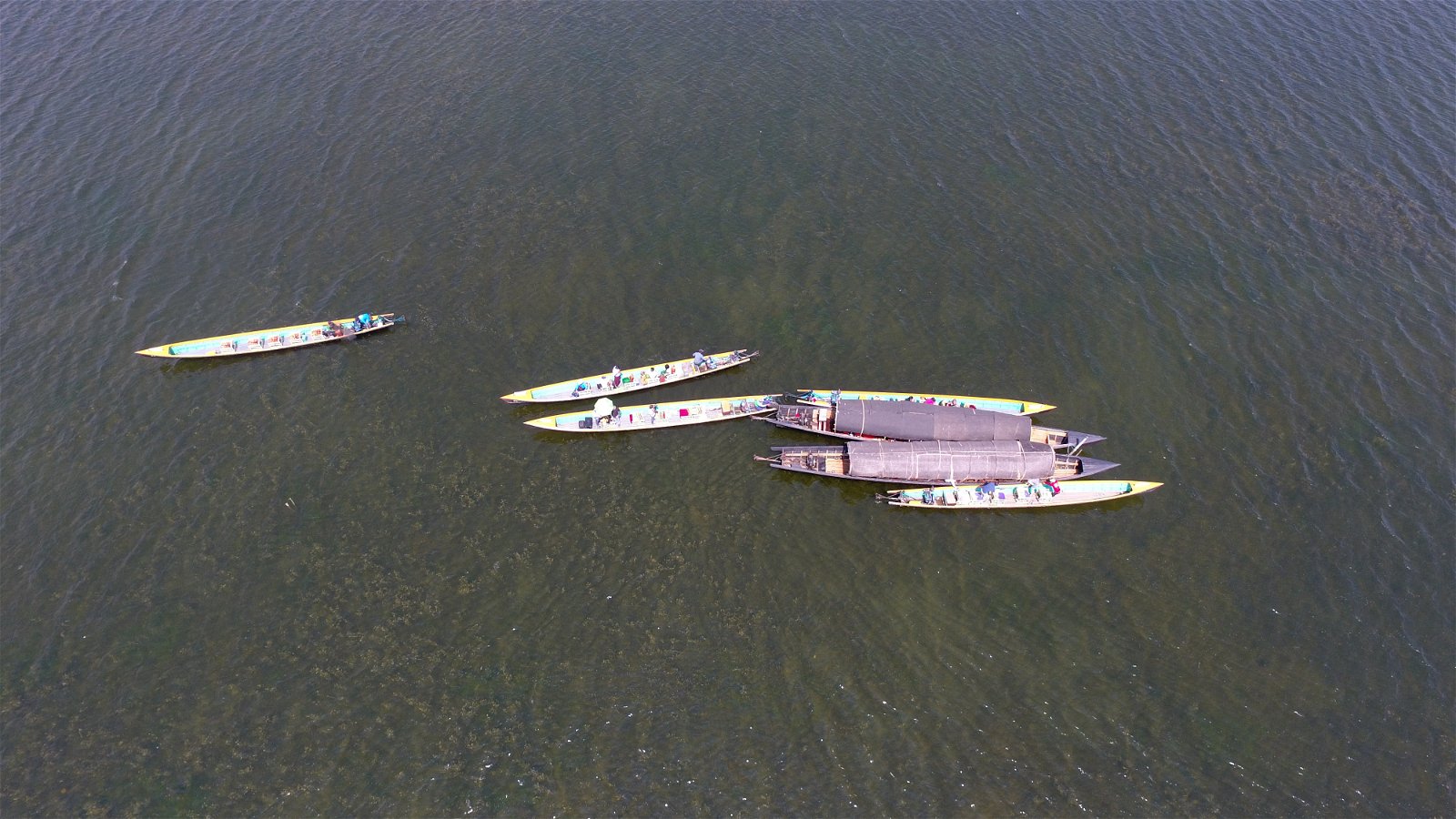 Drone Short Photo