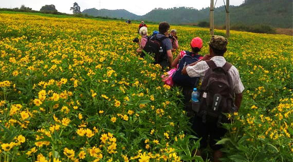 Hti Ne Trek Tour