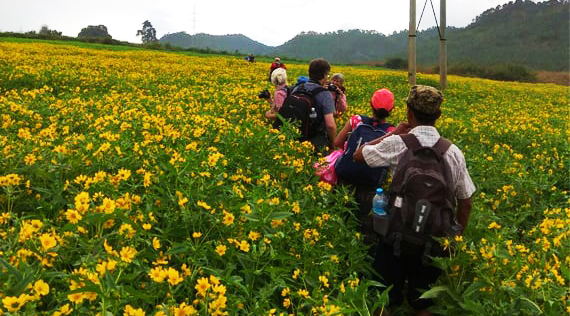 Hti Ne Trek Tour Hti Ne Trek Tour