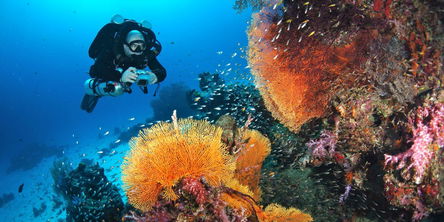 Unspoilt Mergui Archipelago