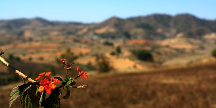 Chin State & Rakhine