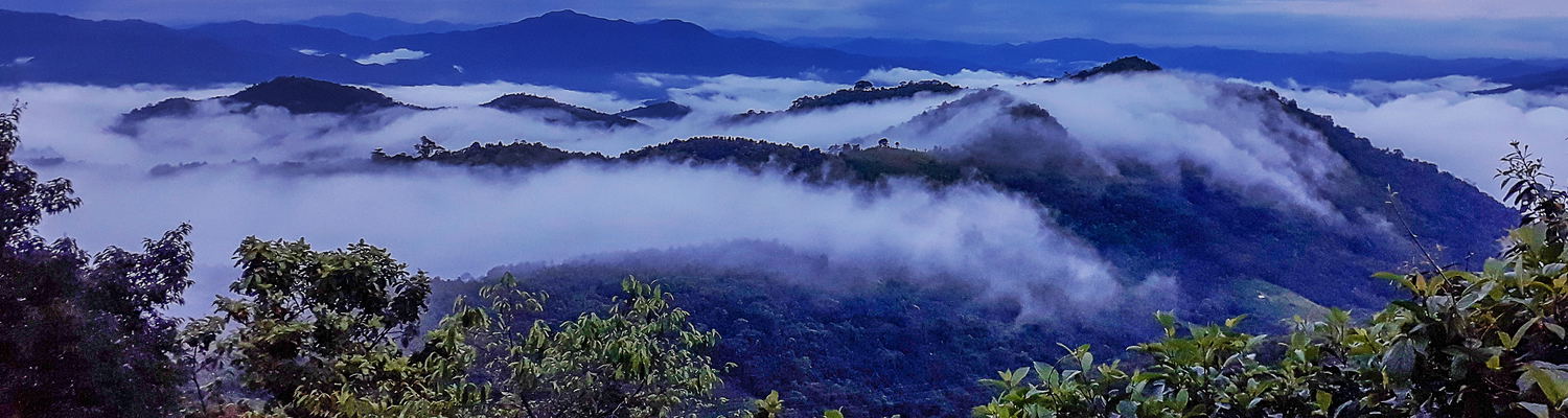 Mogok