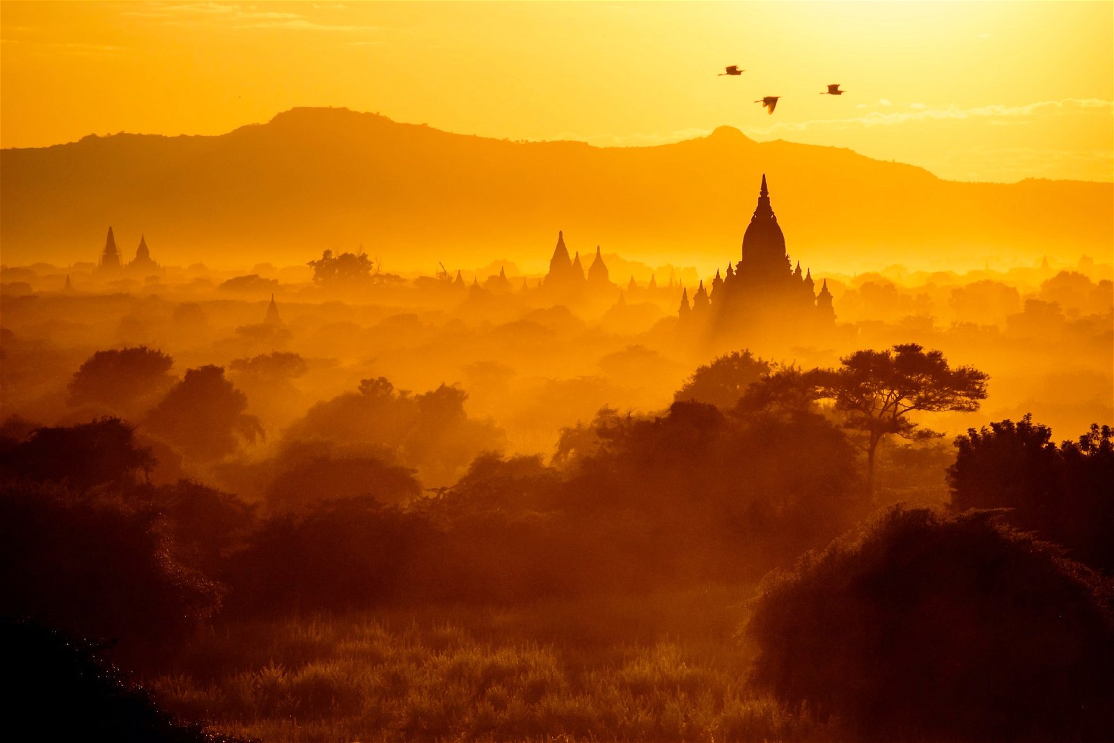 Bagan