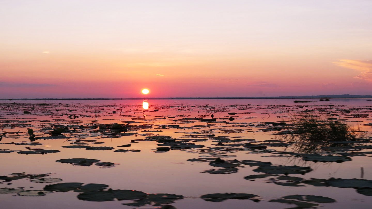  3 Days to Moe Yun Gyi Wetland 