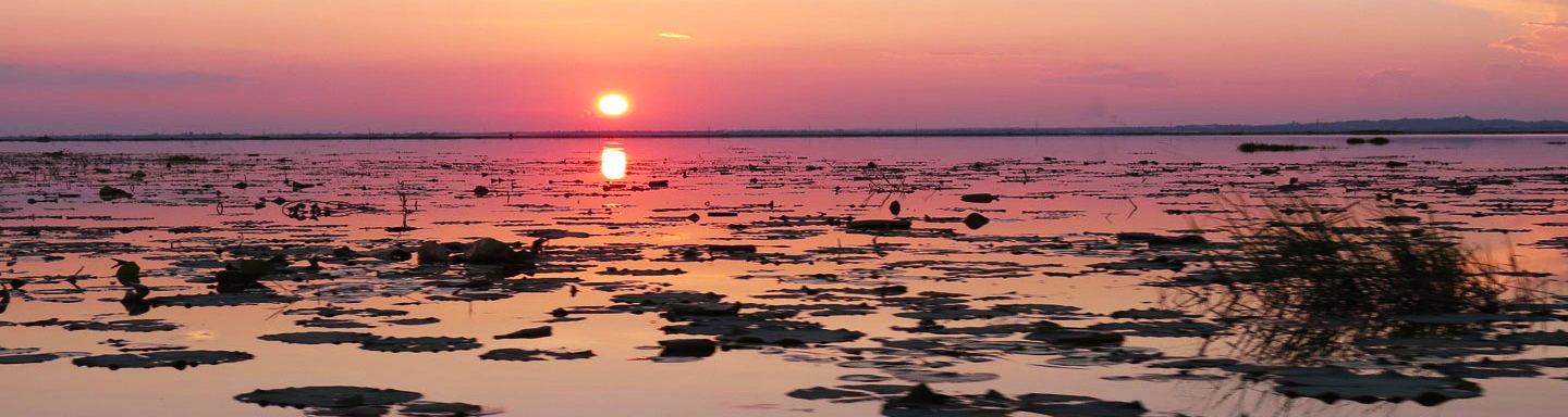 3 Days to Moe Yun Gyi Wetland