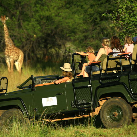 Game Drives