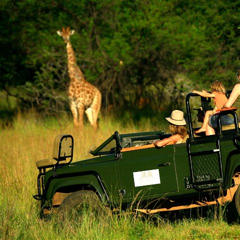 Game Drives