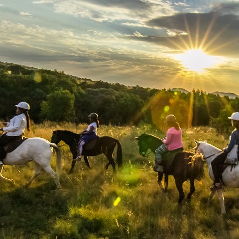 Horse riding