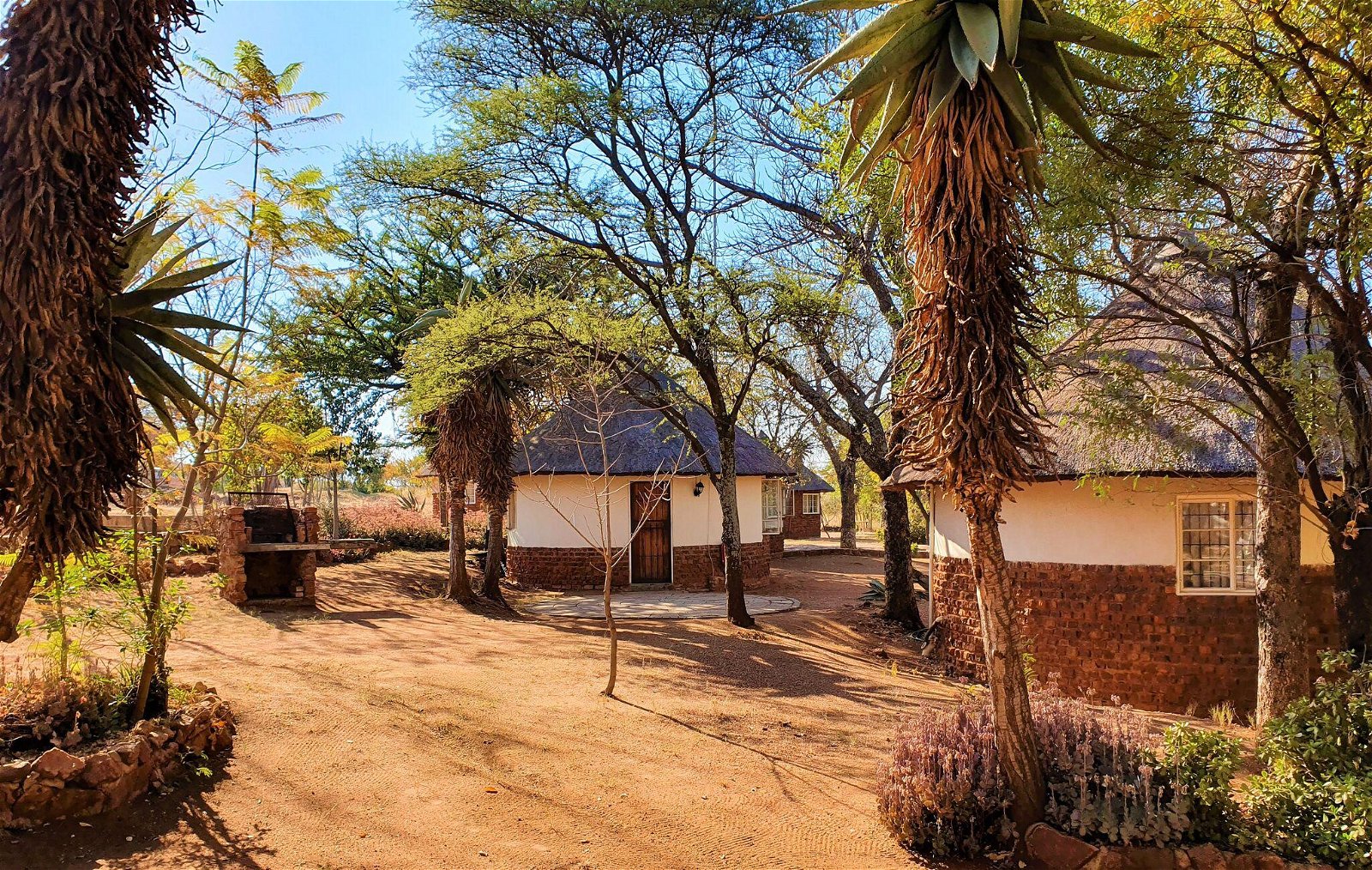 Have an African experience in Pilanesberg