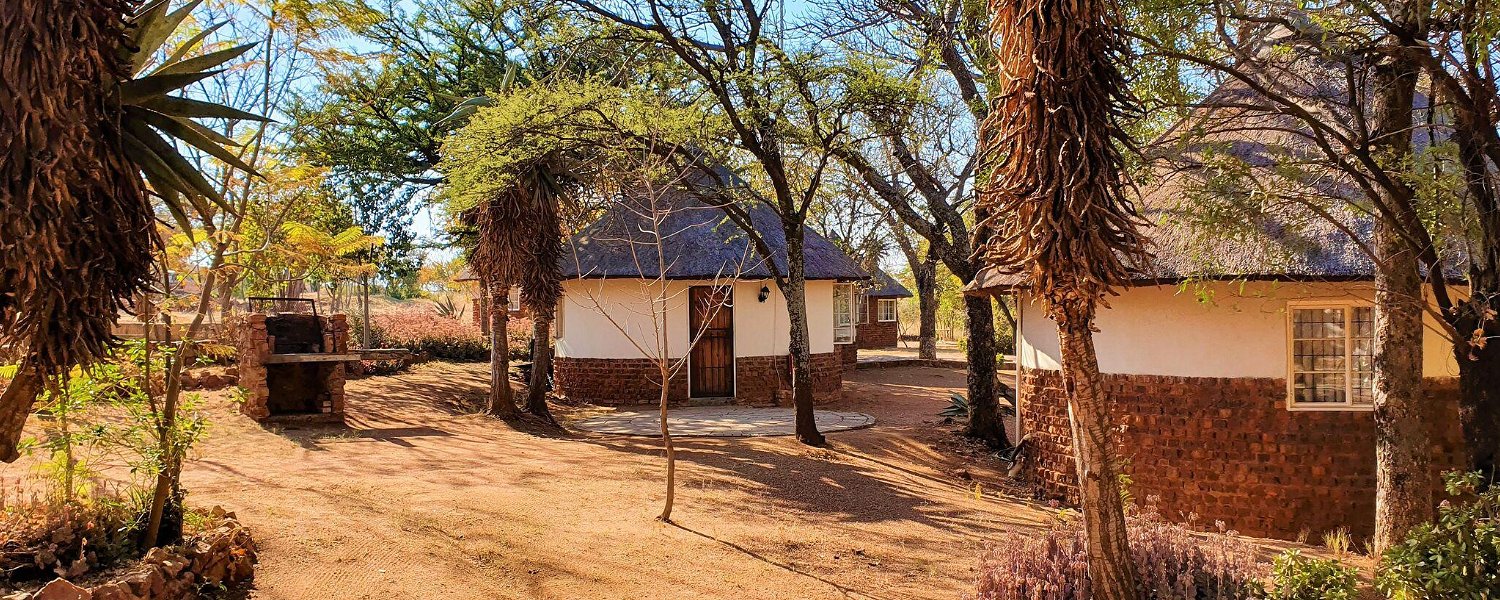 Have an African experience in Pilanesberg