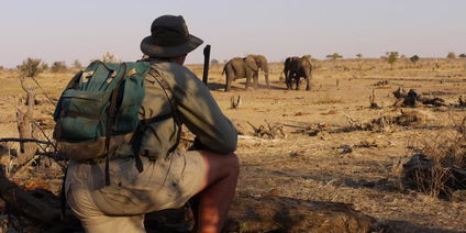 5-Day Hwange National Park Fly Camping Safari