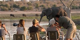 7-Day Chobe National Park Luxury Photo Safari