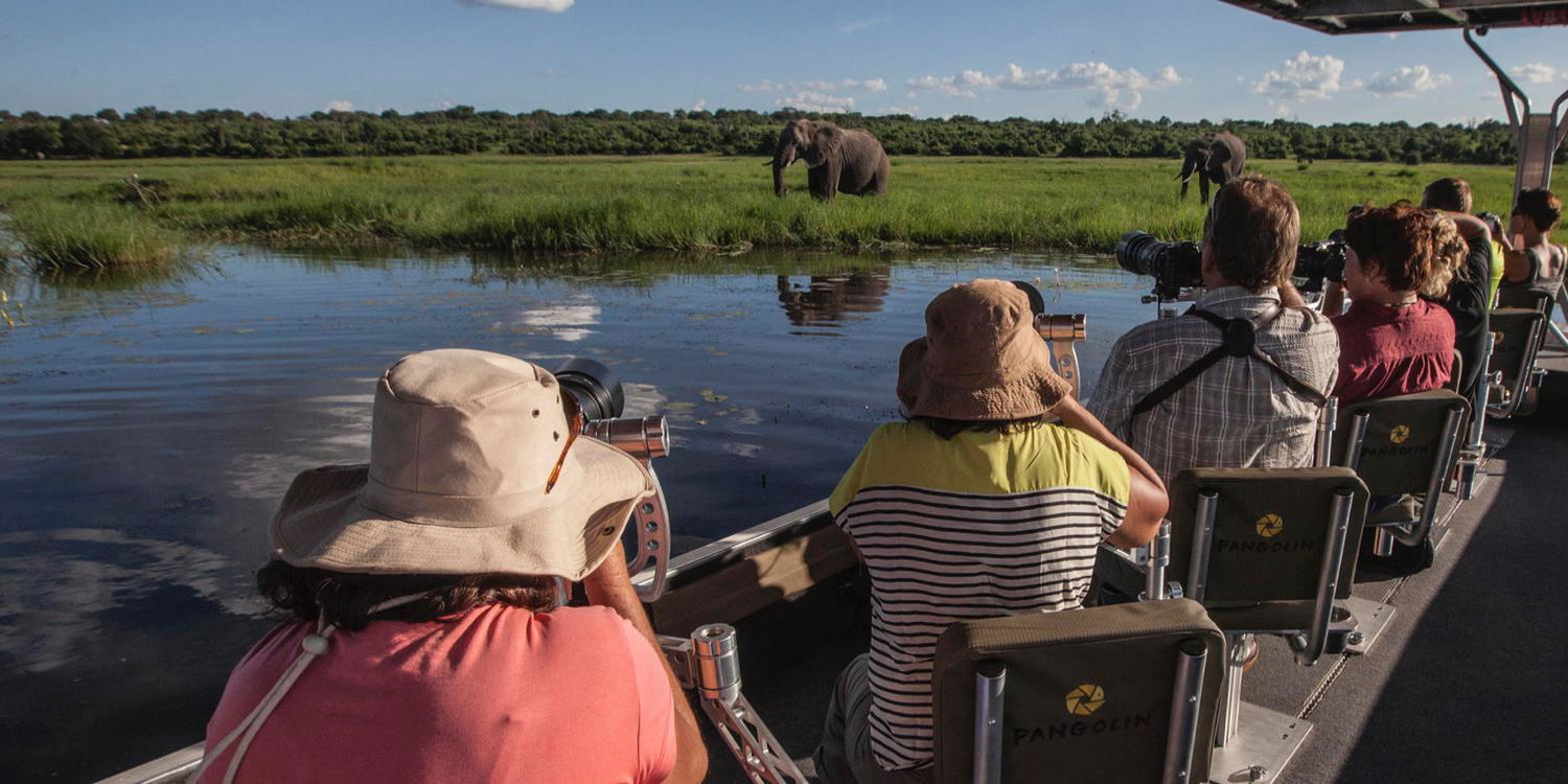 Bespoke Safari Experiences